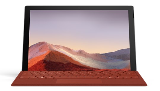 南山清洁和维护 Surface